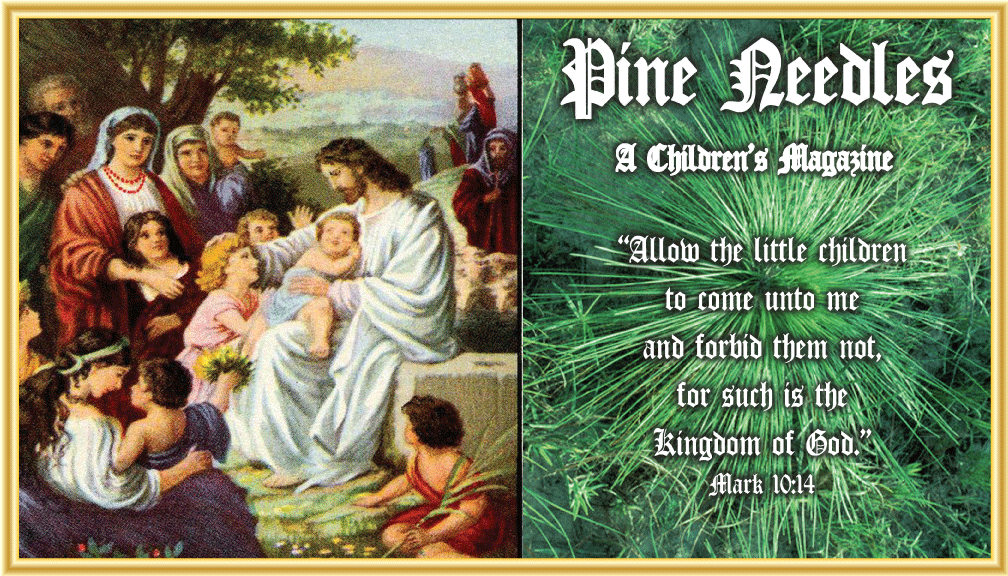 1pine_needles.gif