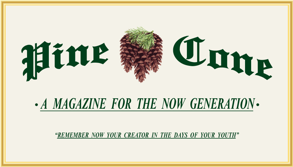 1pinecone.gif