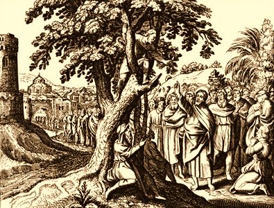 zaccheus.jpg